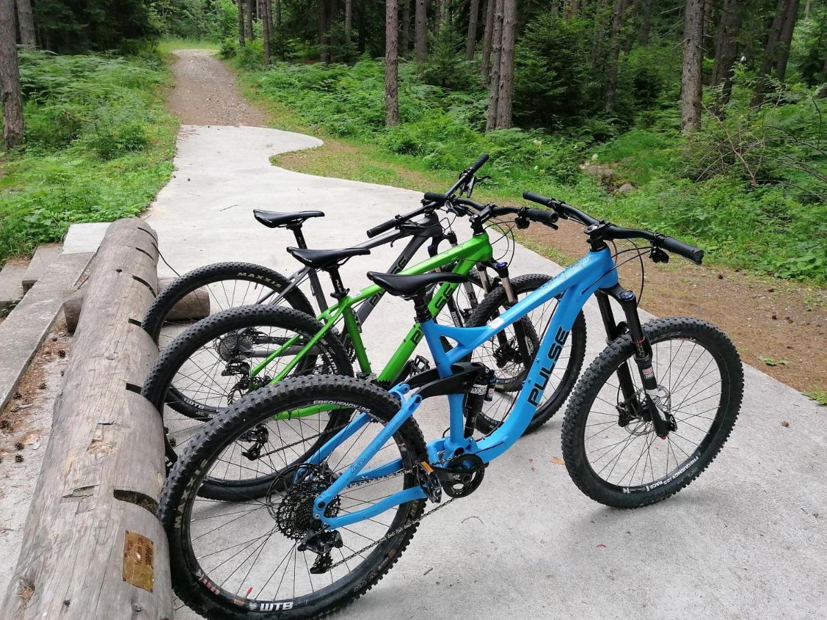 White Lavina - Ski, Bike, Hike Μπάνσκο Εξωτερικό φωτογραφία